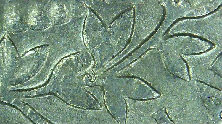 1990-D-Quarter-What-Is-This-Wrapped-Around-The-Stem-Of-The-Leaves?